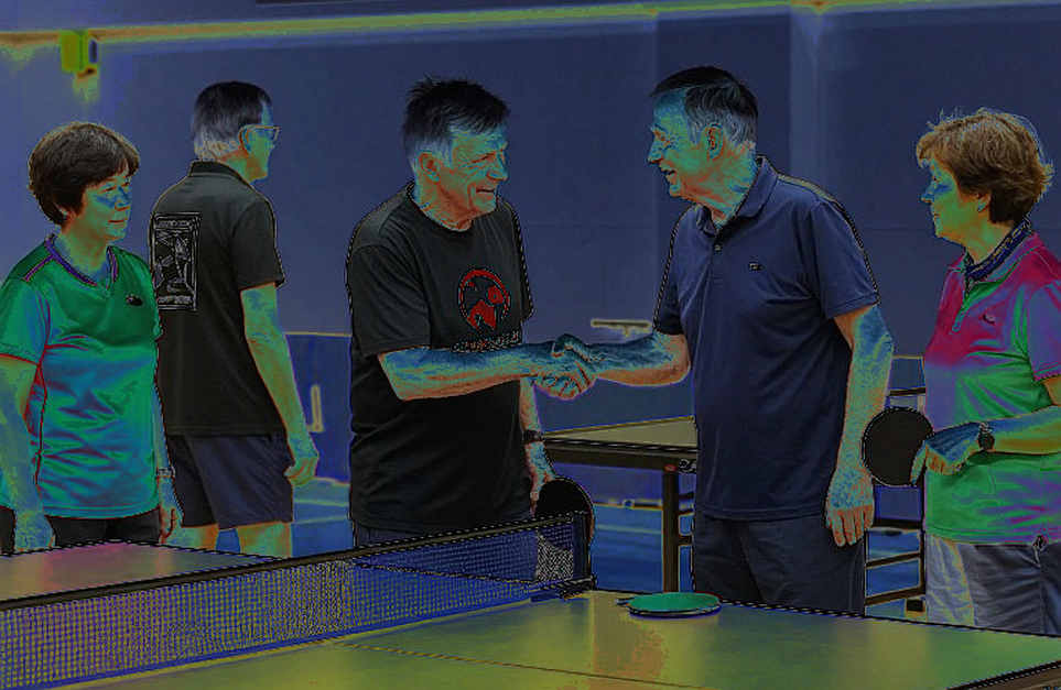 Bóng bàn Việt Nam và bức tường Trung Quốc: khoảng cách nằm ở game quyết định