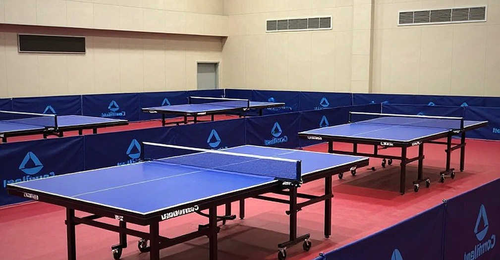 Bóng bàn Anh xóa 'miễn trừ giám sát': Khi tấm khiên mỏng rời khỏi tay tình nguyện viên
