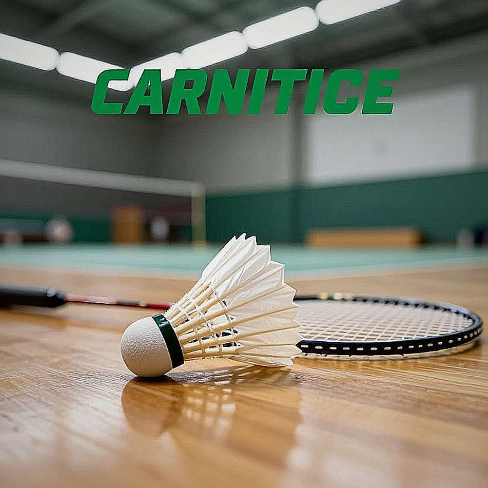 Năm lý do khiến cầu lông Ấn Độ trắng tay tại Asiad 2026: Từ cú sụp đổ của Satwik-Chirag đến cái bóng của đội hình mỏng Năm lý do khiến cầu lông Ấn Độ trắng tay tại Asiad 2026: Từ cú sụp đổ của Satwik-Chirag đến cái bóng của đội hình mỏng