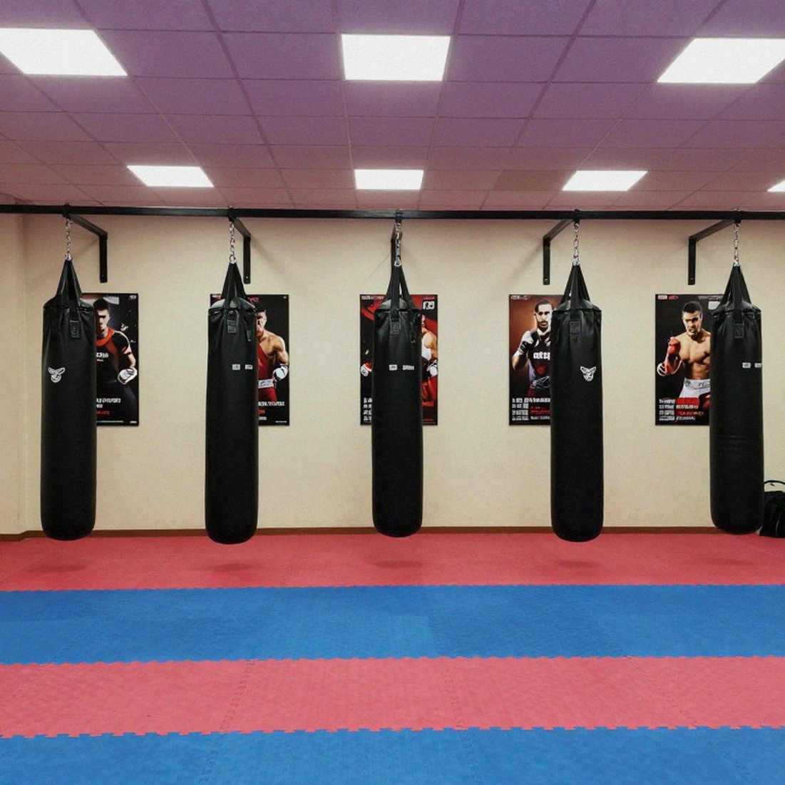 Asiad 2026: Virtual Taekwondo – cơ hội huy chương thực sự của Châu Ngọc Tuyết Sang