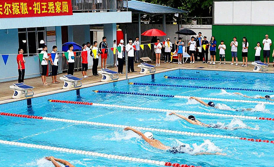 Khi Dữ Liệu Im Lặng: Bài Học Từ Một Bản Phân Tích Bơi Lội 'Rỗng'