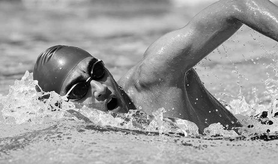 Bơi lội Việt Nam sau chu kỳ SEA Games: Đọc lại khoảng cách bằng dữ liệu